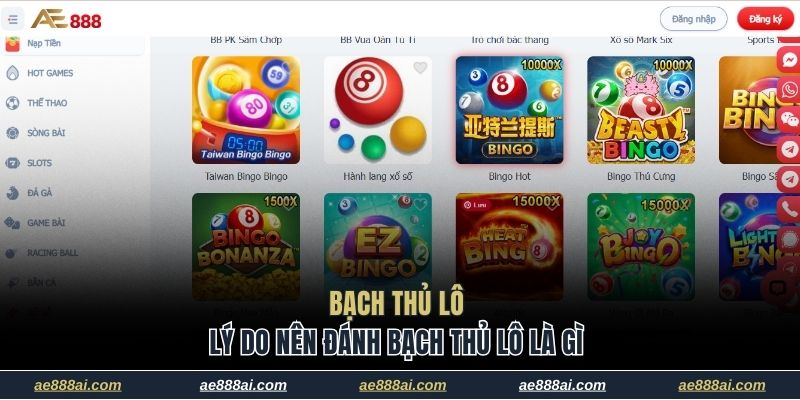 Lý do nên đánh bạch thủ lô là gì